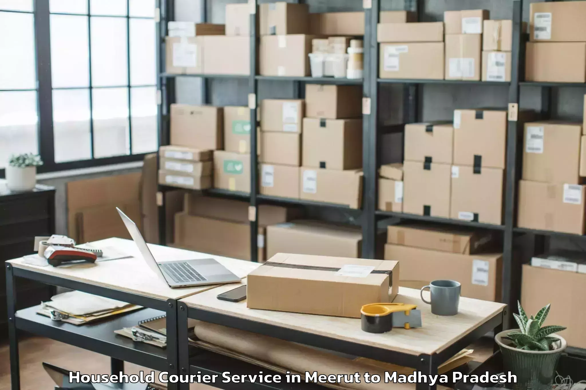 Get Meerut to Bhanpur Household Courier